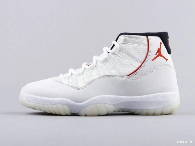 (GS) 11 Platinum Jordan Tint 378038-016 Retro  0815